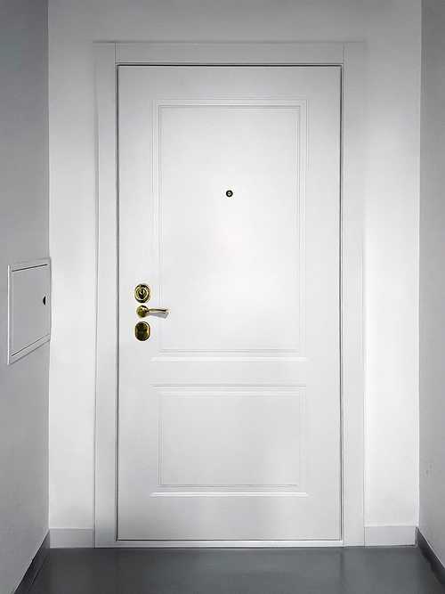 Дверь белого цвета со скрытыми петлями