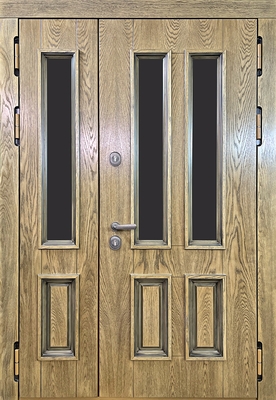 Дверь DH-1387