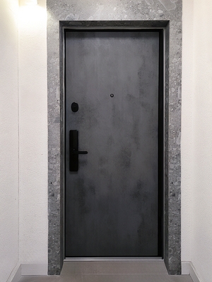 Дверь МДФ с биометрическим замком