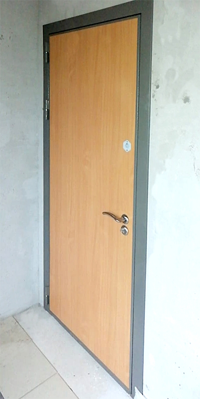 Дверь с ламинированной панелью (г. Истра)