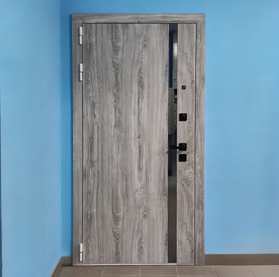 Дверь с декоративной вставкой для квартиры