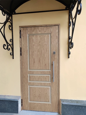 Дверь с МДФ отделкой, фото снаружи