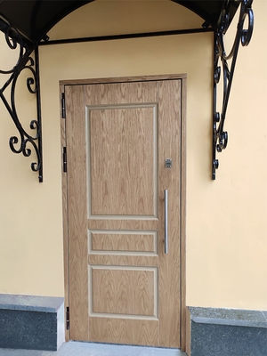 Дверь с МДФ отделкой, фото снаружи (Кремль)