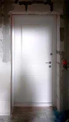 Дверь с МДФ с двух сторон (пос. Первомайское, СНТ Шатры)
