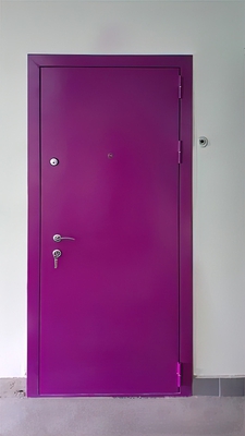 Дверь с покраской по RAL и ламинатом, вид снаружи