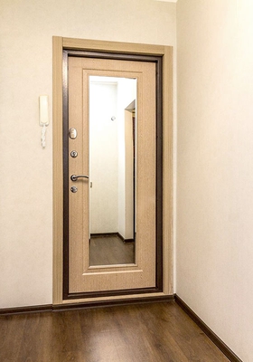 Дверь с зеркалом изнутри