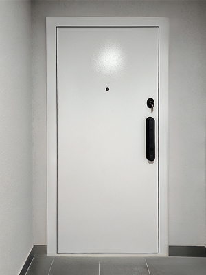Квартирная дверь со smart-замком