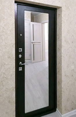 Квартирная дверь с зеркалом