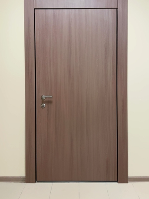 МДФ дверь со скрытыми петлями