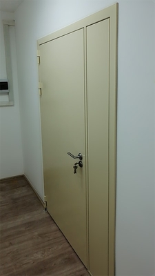Однопольная дверь с боковой вставкой (ул. Молодцова)