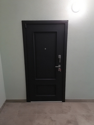 Порошковая дверь в квартиру