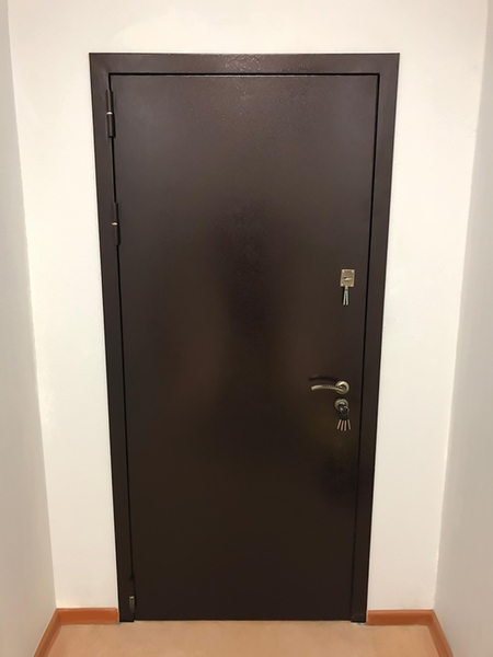 Порошковая дверь для офиса (ул. Архитектора Власова, д.49)