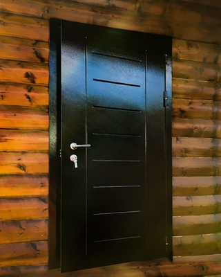 Порошковая дверь с рисунком на металле