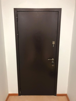 Порошковая дверь в офисе
