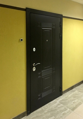 Стальная дверь черного цвета