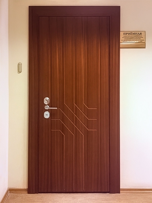 Стальная дверь со скрытыми петлями