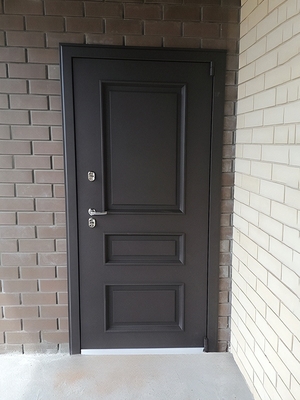 Входная металлофиленчатая дверь
