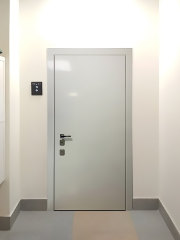 Дверь с гладкой панелью