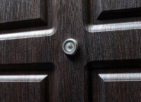 Входные двери венге: отделка, особенности выбора, фото в интерьере