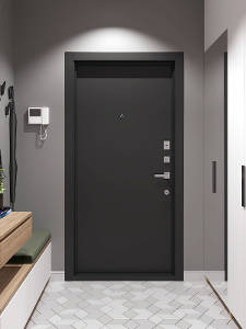 Квартирная дверь черного цвета