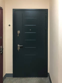 Порошковая дверь с рисунком (ул. Болотниковская)
